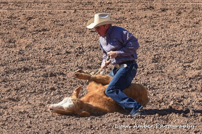 tucson rodeo 7 (1)