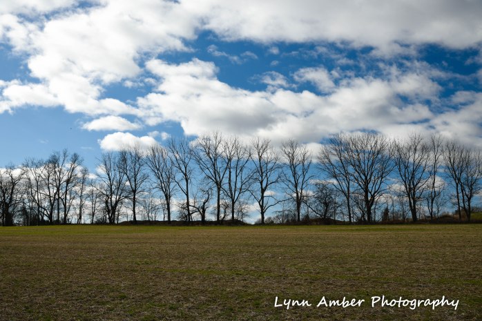 Farm field Lancaster County PA 2019 (1 of 1)