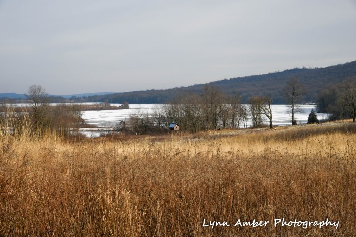 Middle Creek Wildlife Management Area PA 2019 (1 of 1)
