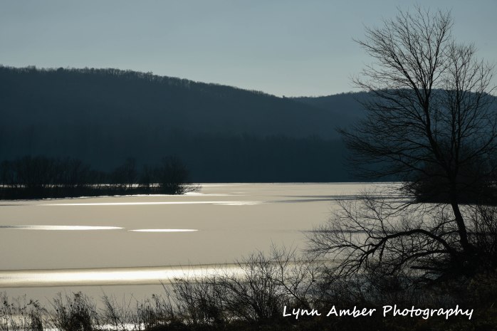 Middle Creek Wildlife Management Area PA 2019 (1 of 1)