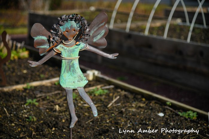 Willow Valley Community Garden Angel Lancaster PA 2019 (1 of 1)
