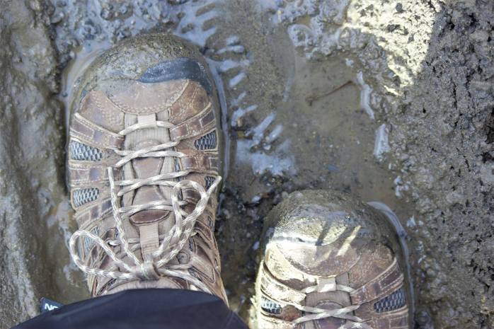 53891062_10217418892131606_8446498034526715904_o