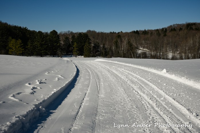 Dirt Road Walks 2 (1 of 3)