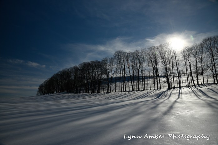 Dirt Road Walks 2 (3 of 3)