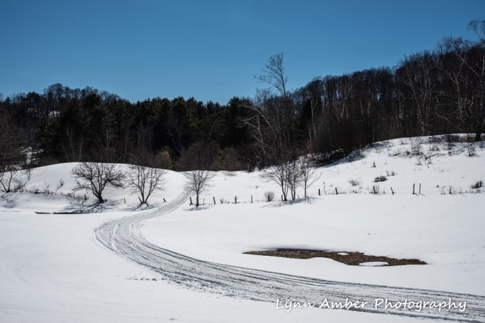 Dirt Road Walks (3 of 3)