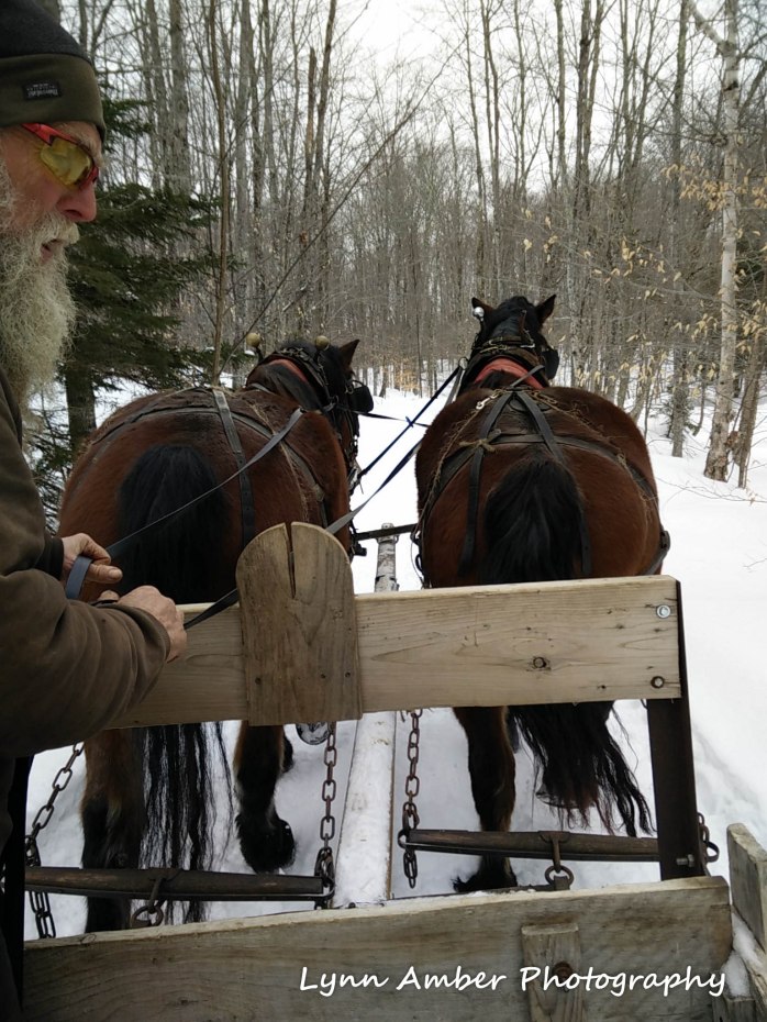 Hazel and Huck and Bill 2.20.19 (1 of 1)