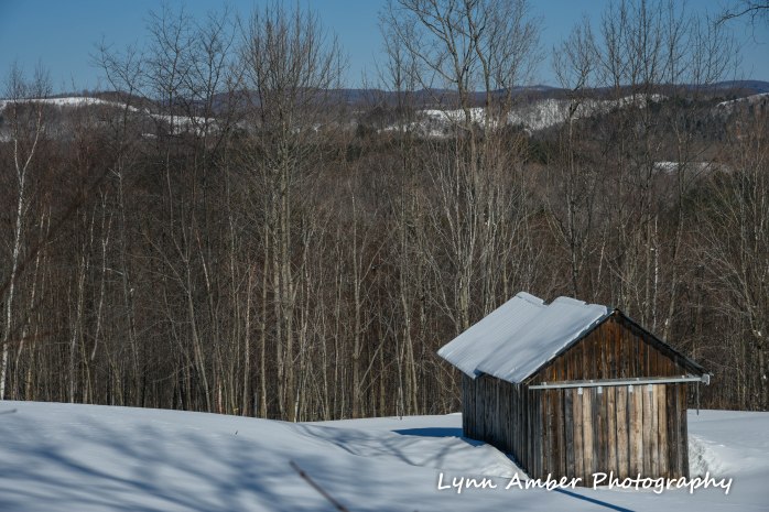 Hook Road Walk (3) 2.28.19 (1 of 1)