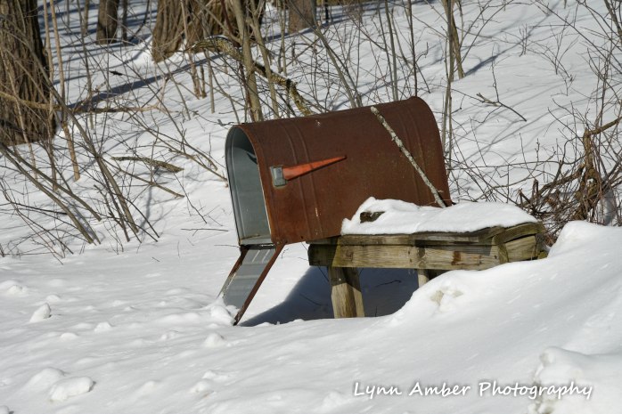 Hook Road Walk (6) 2.28.19 (1 of 1)