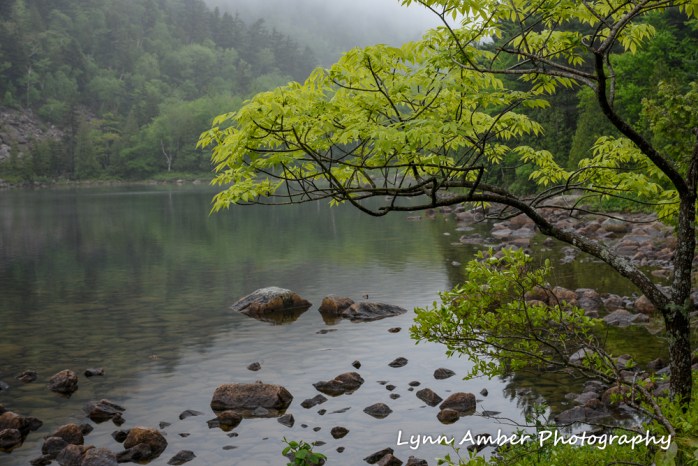 Bubble Pond (1 of 1)