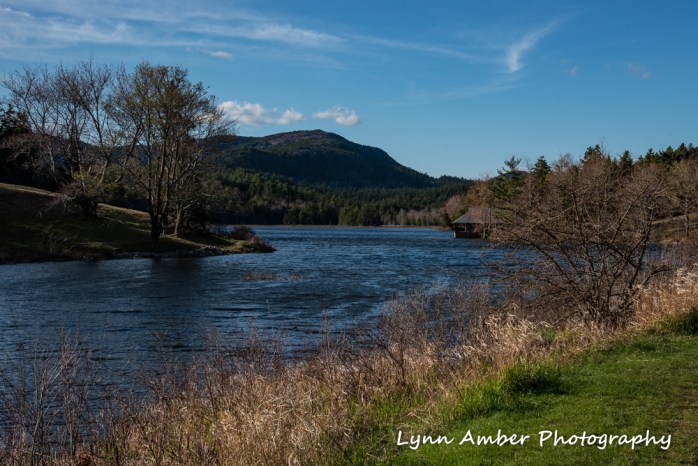 Little Long Pond (1 of 1)