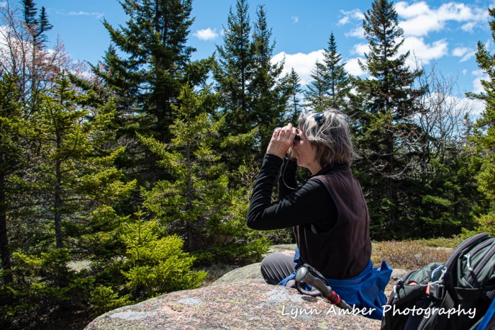 Lynn Triad Mt (1 of 1)