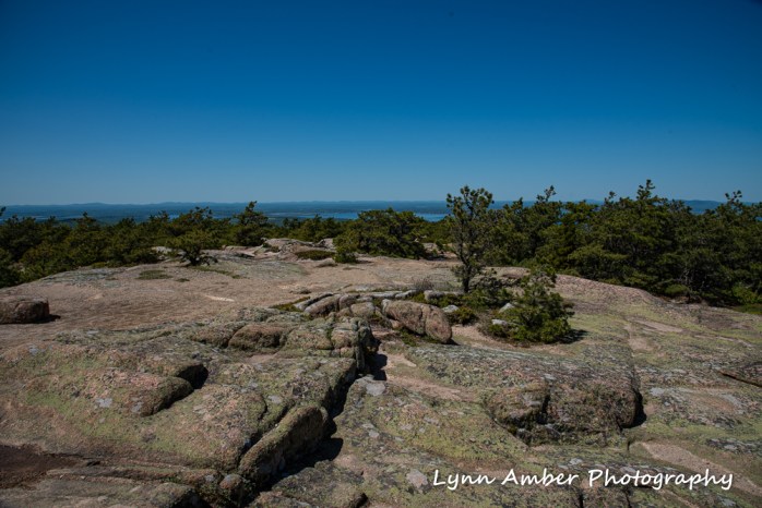 Dorr Mt view (1 of 1)