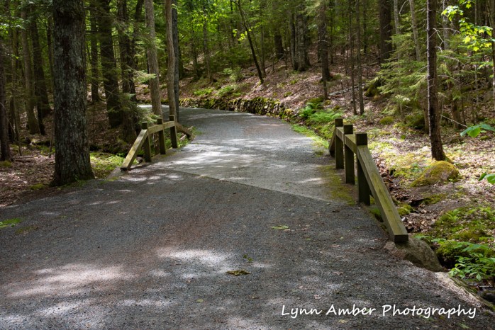 Seven Bridges area (1 of 1)