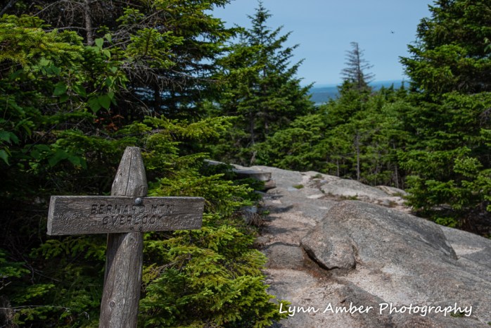 Bernard Mountain Overlook (1 of 1)