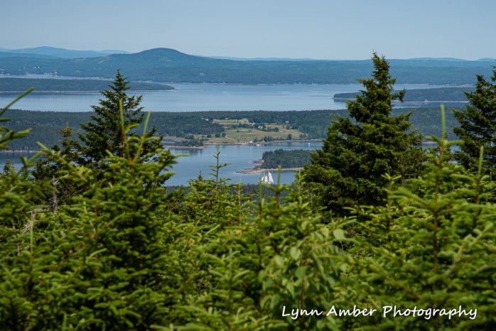 From Bernard Mt Overlook (1 of 1)