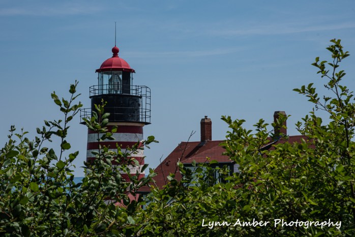 West Quoddy and Herring Cove (3 of 11)