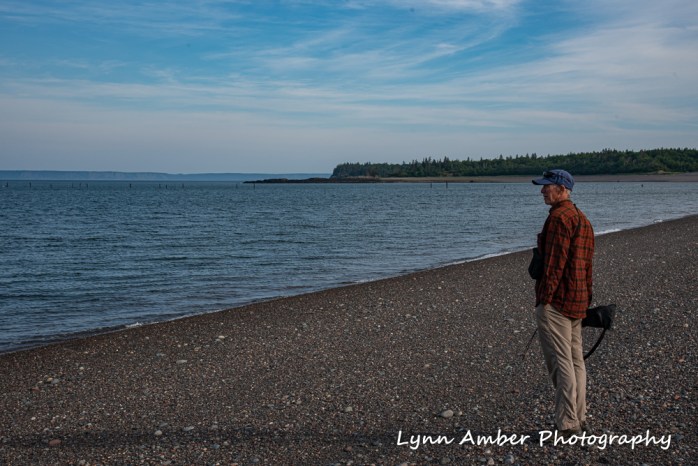 West Quoddy and Herring Cove (8 of 11)