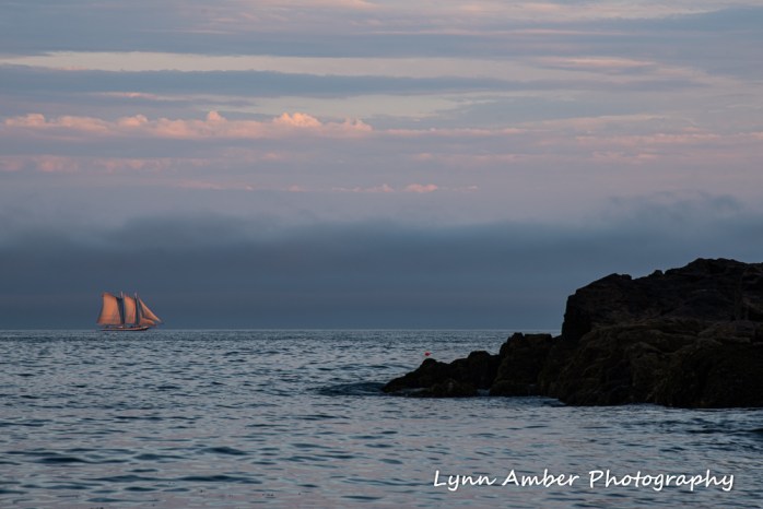 Sailboat off Little Hunters Beach (1 of 1)