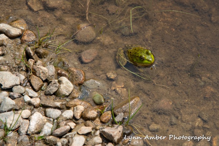 Thuya and Witch Hole (10 of 13)