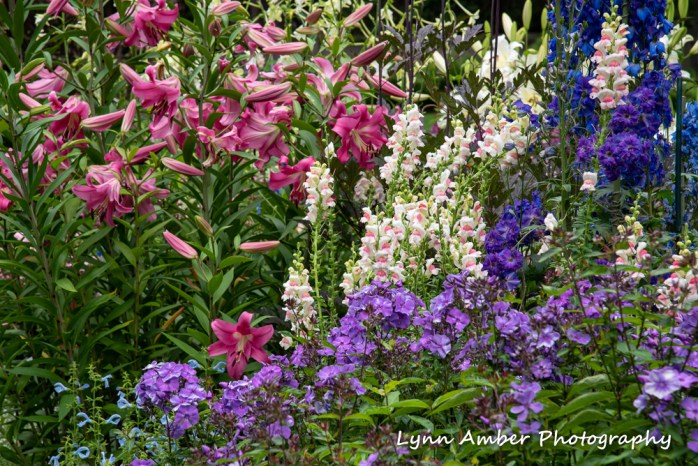 Thuya and Witch Hole (5 of 13)