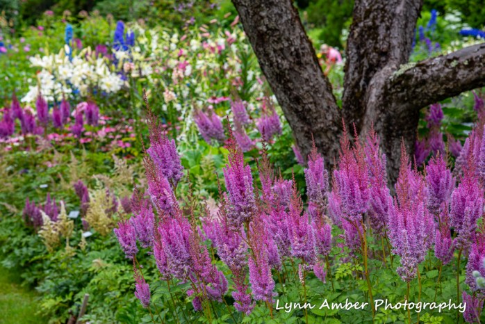 Thuya and Witch Hole (9 of 13)