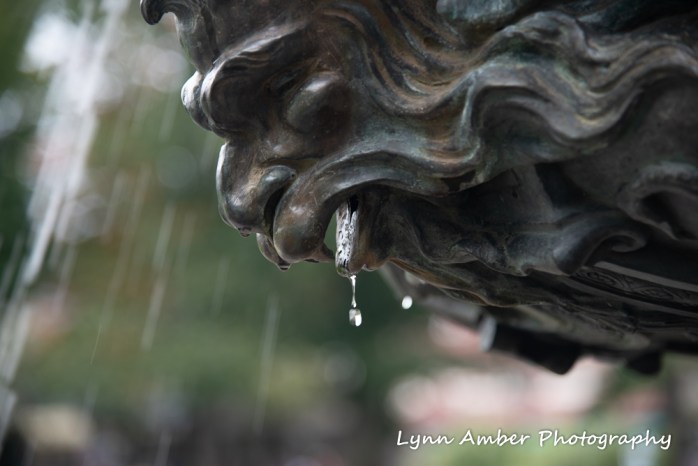 #14 A Raindrop (1 of 1)