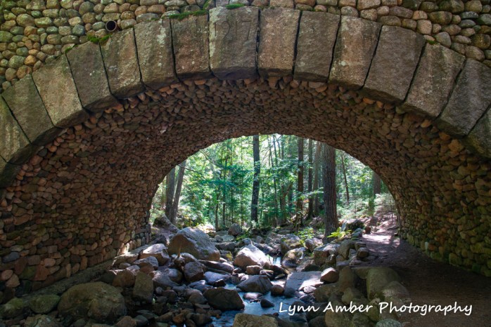 #3 A Bridge in the Park 2 (1 of 1)