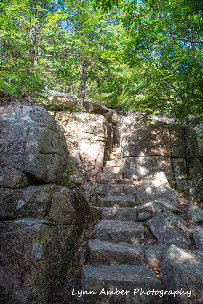 Emory Path stonework 2 (1 of 1)