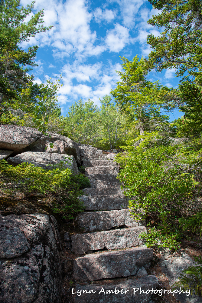 Homans Path (1 of 1)