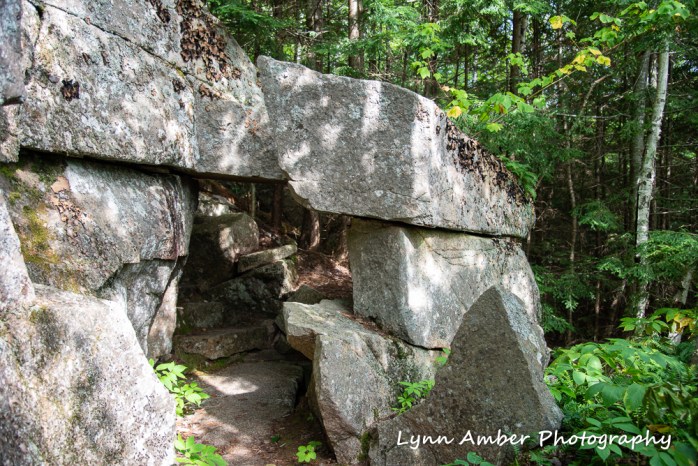 Homans Path 2 (1 of 1)