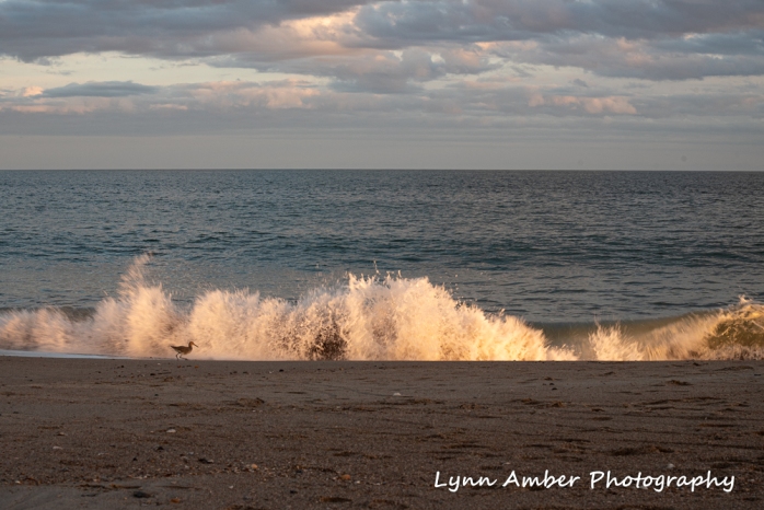 Edisto sunset 2 (1 of 1)
