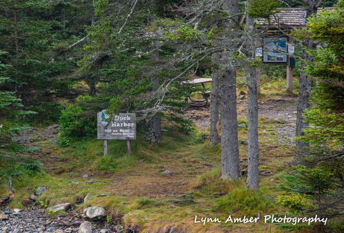 Isle au Haut Hike Day 3-1.jpg