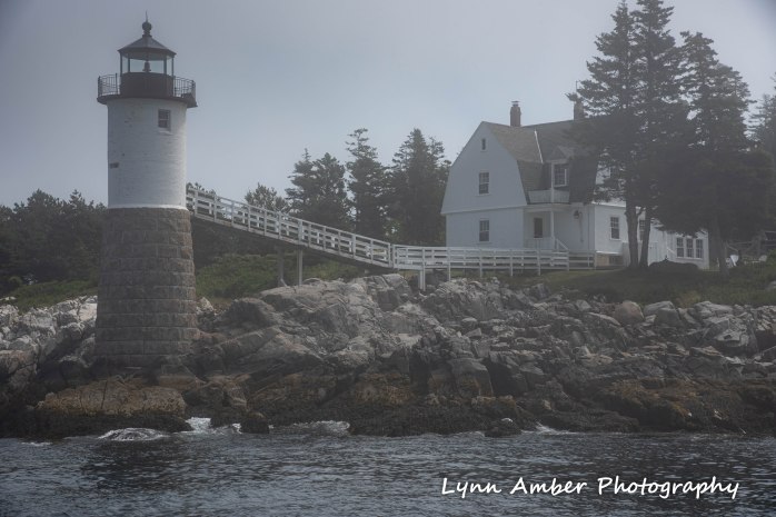 Isle au Haut Hike Day 3-11.jpg