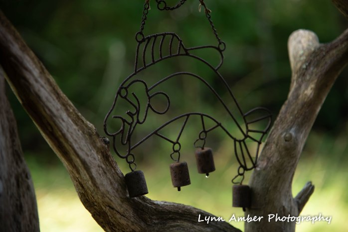 Isle au Haut Hike Day 3-14.jpg