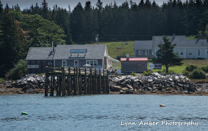 Isle au Haut Hike Day 3-16.jpg