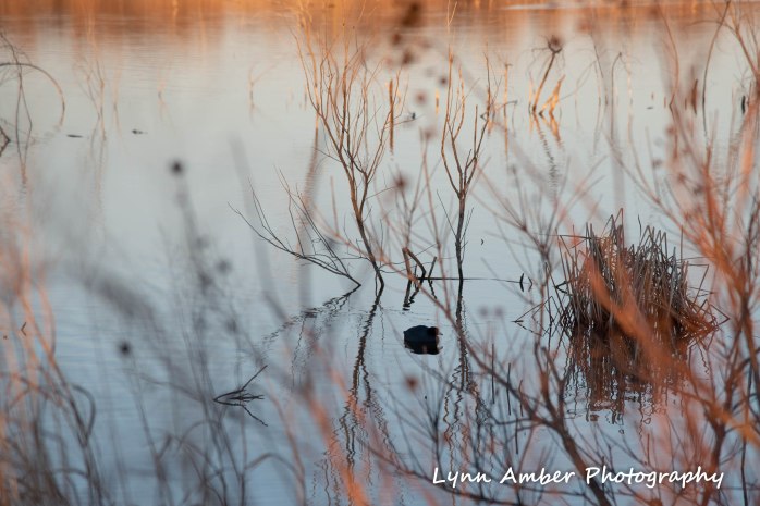 Elk City lake park 4