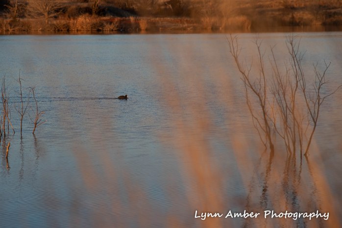 Elk City lake park 5