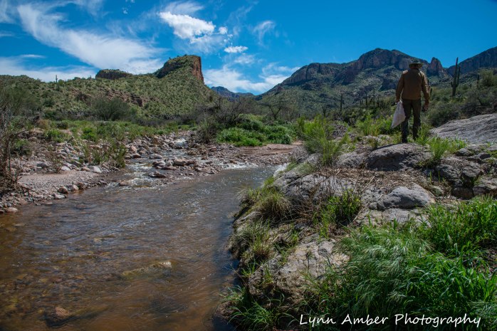 Assorted photos Tonto NF (4 of 13)
