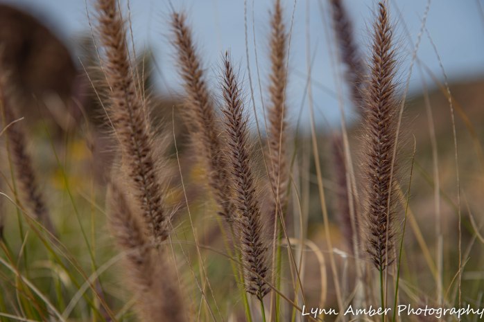 Canyone Lake Canoe (10 of 13)