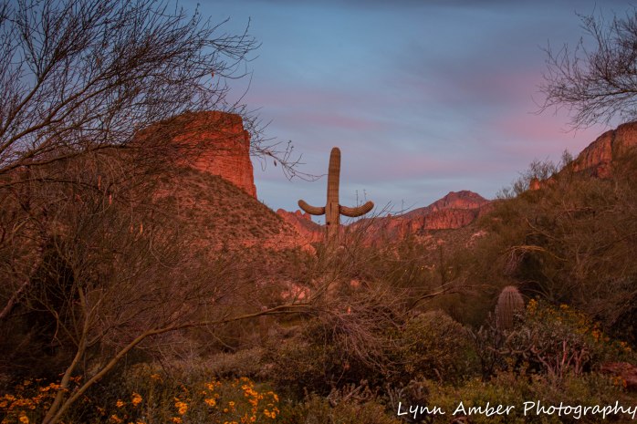 Canyone Lake Canoe (12 of 13)
