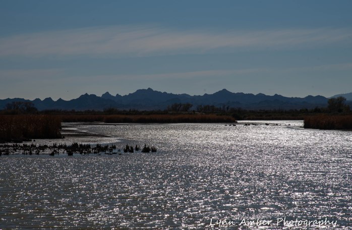 Cibola National Wildlife Refuge end of day-1200
