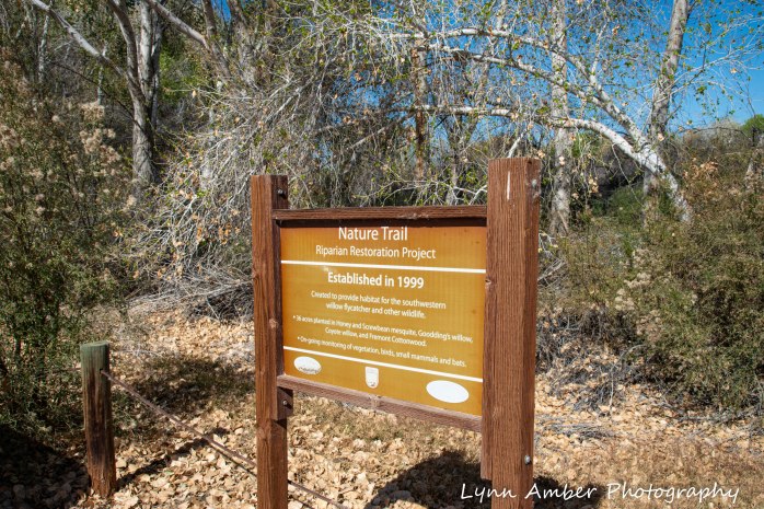 Cibola National Wildlife Refuge Nature Trail