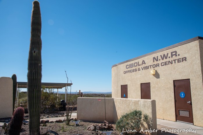 Cibola National Wildlife Refuge Visitor Center