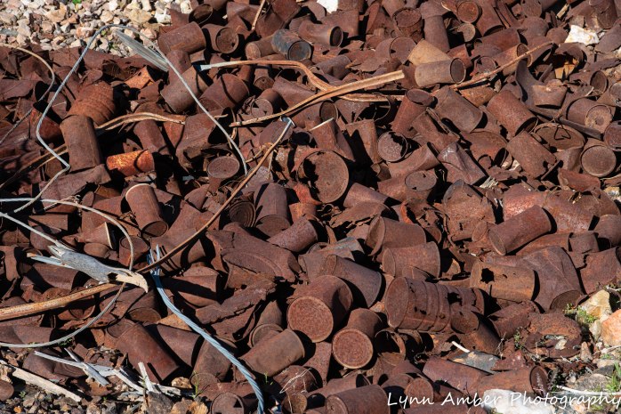 Hike to Dripping Springs (8 of 12)