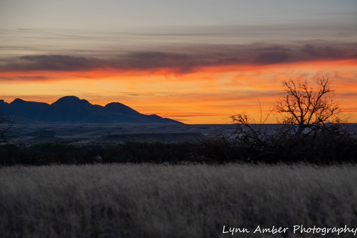 Photo of day 3.25.20 (1 of 4)