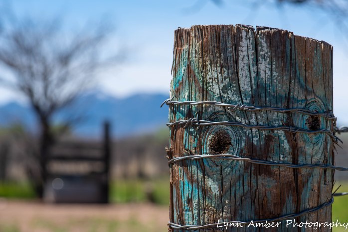 Photo of day 3.25.20 (2 of 4)