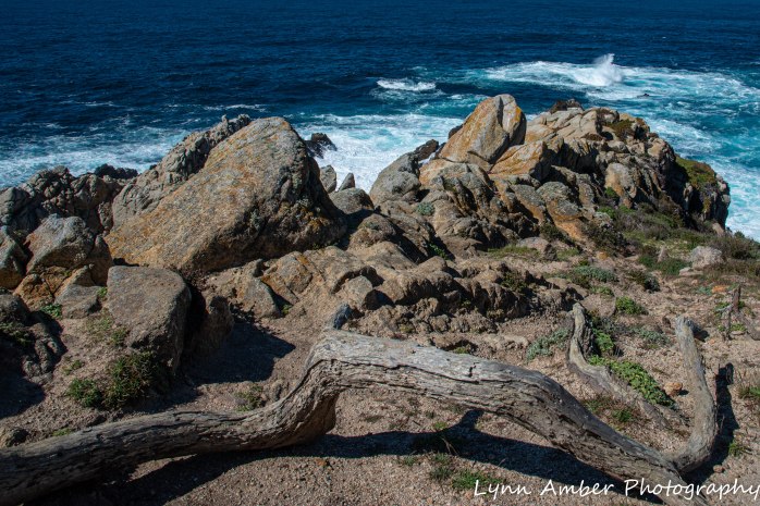 Point Lobos SNR (1 of 43)