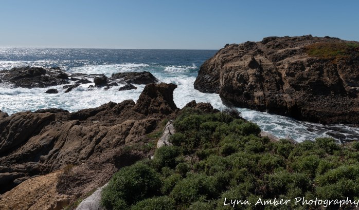 Point Lobos SNR (11 of 43)