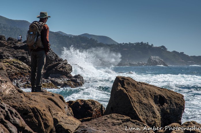 Point Lobos SNR (17 of 43)