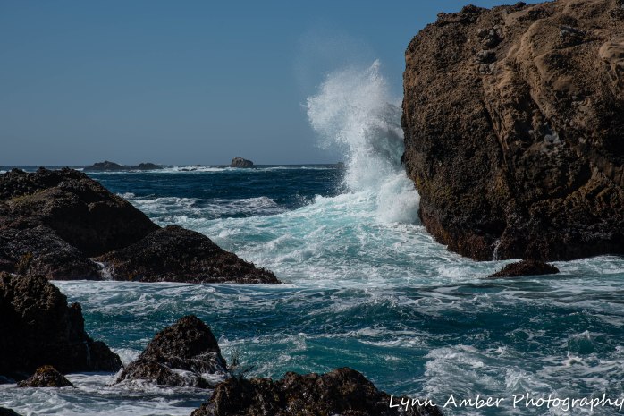 Point Lobos SNR (18 of 43)